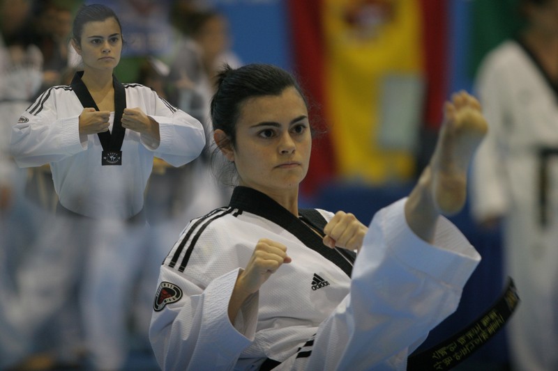 Entrega de Galardones 2013